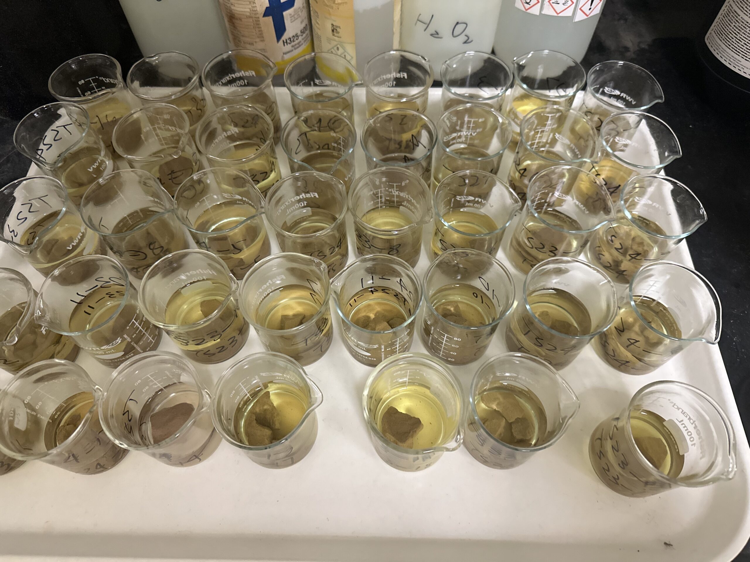 HCl pretreatment of White River samples for carbonate removal prior to granulometric analysis